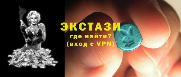эйфоретик Гусь-Хрустальный