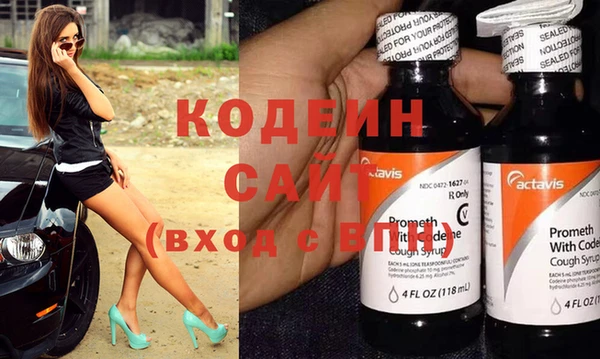 эйфоретик Гусь-Хрустальный